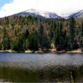 Jenks Lake