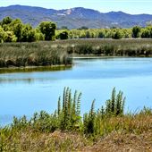 Anderson Marsh State Historic Park (SHP)