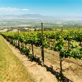Salinas Valley