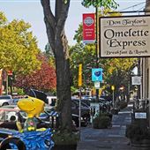 Omelette Express