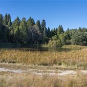 Palomar Mountain State Park (SP)