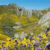 Carrizo Plain National Monument