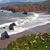 Schoolhouse Beach (Sonoma Coast State Park)