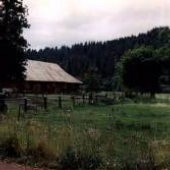 Mount Shasta Ranch Bed & Breakfast / Shasta Starr Ranch