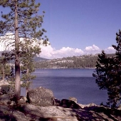 Spicer Meadow Reservoir & Spicer Group Campgrounds