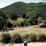 Paradise Ranch