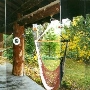 Weesha Club Cabins with views of Santa Ana River Valley