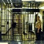 Pitchess Detention Center (East, North and South Facilities)
