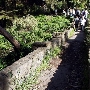 Presidio Trust - BRAC