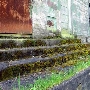 Presidio Trust - BRAC