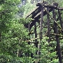 Roaring Camp Railroad