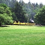 Roaring Camp Railroad