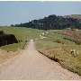Bald Hills Road