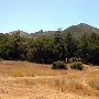 Rocky Oaks - National Park Service (NPS)