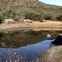 Rocky Oaks - National Park Service (NPS)