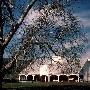 San Felipe Ranch Inc. / The Nature Conservancy California Program