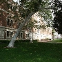 University of Southern California - USC