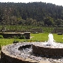 Goldeneye Winery, Vineyard & Landscaped Garderns