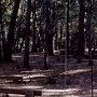 Giant Sequoia National Monument