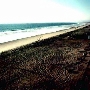 Silver Strand State Beach (SB)