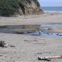 San Gregorio State Beach (SB)