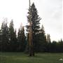 Tuolumne Meadows