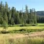 Hodgdon Meadows