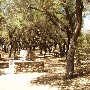 Tapia Park @ Malibu Creek State Park (SP)