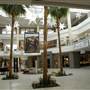 Westfield Topanga