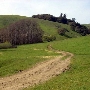 Tresch Dairy