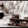 Blue Eagle Mine - Tropico Gold Mine