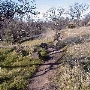 Upper Bidwell Park & Bear Hole