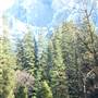 Yosemite Winter
