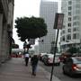 5th St. between Grand Ave. & Olive St.