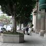 Olive St. between 5th and 6th St.