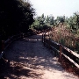 Whiting Ranch Wilderness Park
