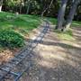 Descanso Gardens
