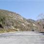 Angeles National Forest