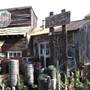 California Nursery Specialties - Cactus Ranch