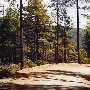 Bair Road - Off HWY 299