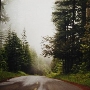 Bald Hills Road