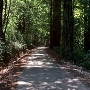 Big Basin Redwoods State Park (SP)