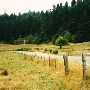 Elk River Road - Reardon Ranch