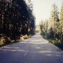 Eyesee Road - National Forest Rd. 15