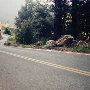 Salmon River Road
