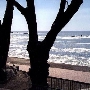 White Point / Royal Palms County Beach