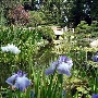 Earl Burns Miller Japanese Garden - California State University Long Beach - CSULB
