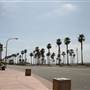 Pacific Coast Highway & Main