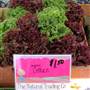 Auburn Farmers Market