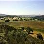 Santa Margarita Ranch